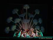 d180630-225208-110-100-tollwood-carmina_burana