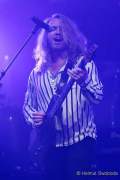 d190702-185203-610-100-tollwood-zfg