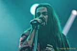 d190702-185443-240-100-tollwood-zfg