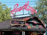 Sommer Tollwood 2021 - Presserundgang