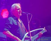 Tollwood 2023 Sommerfestival - Muenchener Freiheit