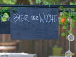 Sommer Tollwood 2025 - Presserundgang