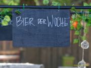 Sommer Tollwood 2025 - Presserundgang