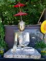 Sommer Tollwood 2025 - Presserundgang