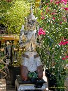 Sommer Tollwood 2025 - Presserundgang