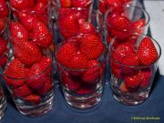 Tollwood 2025 Sommerfestival – Programm-PK