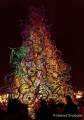 d161127-17540150-100-tollwood-markt