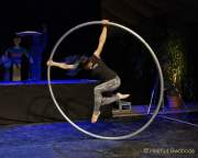 d171109-114257-500-100-tollwood_programm-pk