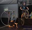 d171109-121645-500-100-tollwood_programm-pk d171109-121645-500-100-tollwood_programm-pk