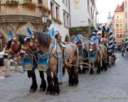 Vorstellung PLAYBOY Wiesn-Playmate 2022