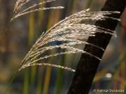 d161101-15210451-100-westpark