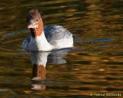 d161101-15242257-100-westpark