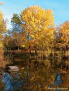 d161101-15290369-100-westpark