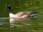 D140501-16422700-100-Westpark