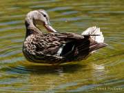 d210613-141338-009-100-westpark