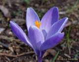 d170325-143215-004-100-instawalk-westpark