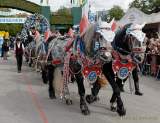 d180922-113637-300-100-wiesn_einzug_wiesnwirte