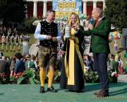 d180930-111408-100-100-wiesn-standkonzert