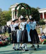 d180930-111734-240-100-wiesn-standkonzert