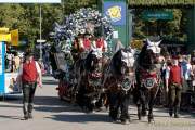 d190921-112623-920-100-wiesn_einzug_wiesnwirte