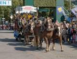 d190921-113256-500-100-wiesn_einzug_wiesnwirte