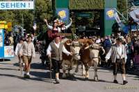 d190921-113718-230-100-wiesn_einzug_wiesnwirte