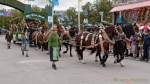 Wiesn - Einzug der Wiesnwirte