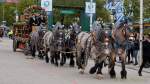 Wiesn - Einzug der Wiesnwirte