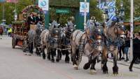 Wiesn - Einzug der Wiesnwirte