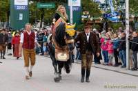 Wiesn - Einzug der Wiesnwirte