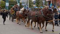 Wiesn - Einzug der Wiesnwirte