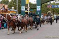 Wiesn - Einzug der Wiesnwirte