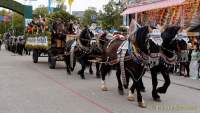Wiesn - Einzug der Wiesnwirte