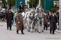 Wiesn - Einzug der Wiesnwirte