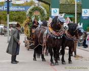 Wiesn - Einzug der Wiesnwirte