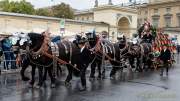 Wiesn - Trachtenumzug 2022