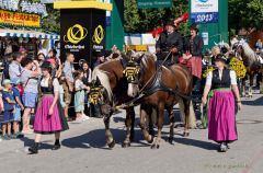 Wiesn 2023 Einzug der Wiesnwirte