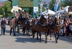 Wiesn 2023 Einzug der Wiesnwirte