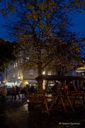 Winterzauber auf Viktualienmarkt 2024