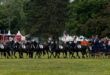 Pferd International 2025