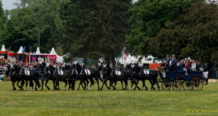 Pferd International 2025